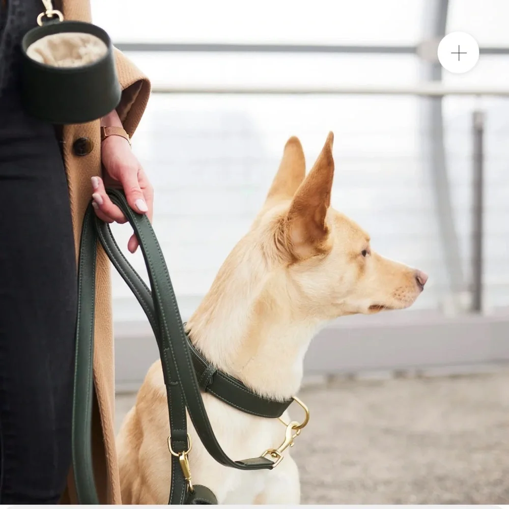 WILLIAM WALKER LEASH LEATHER